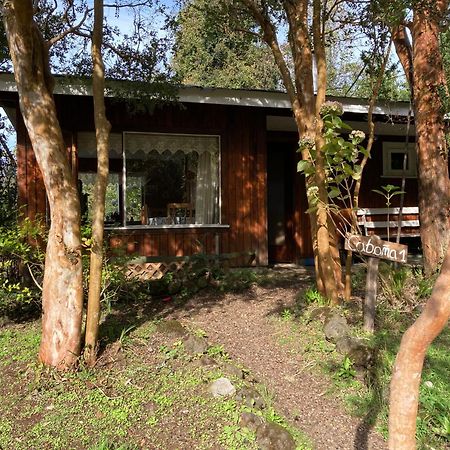 Cabanas El Bosque Patagonico Frutillar Esterno foto