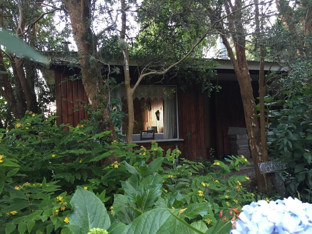 Cabanas El Bosque Patagonico Frutillar Esterno foto